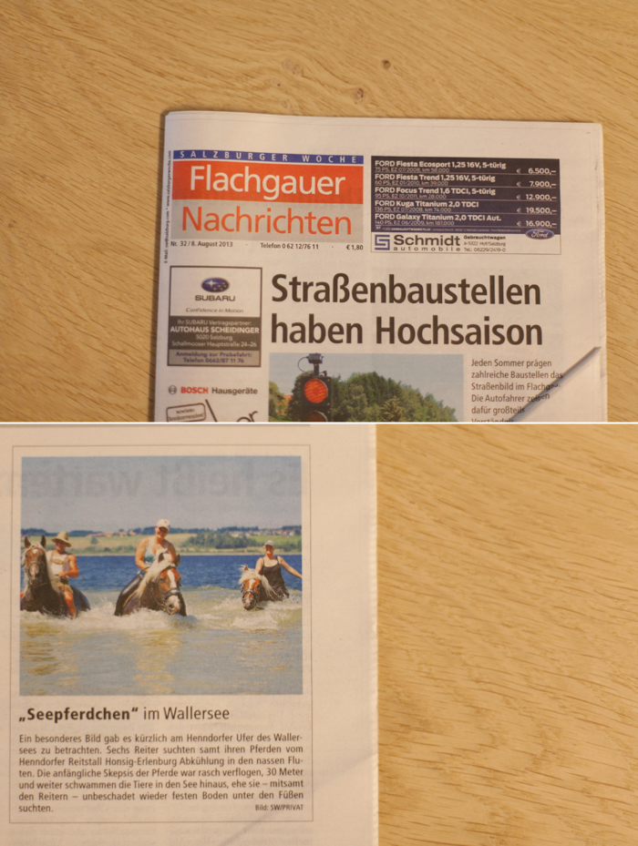 8.01- Flachgauer Nachrichten