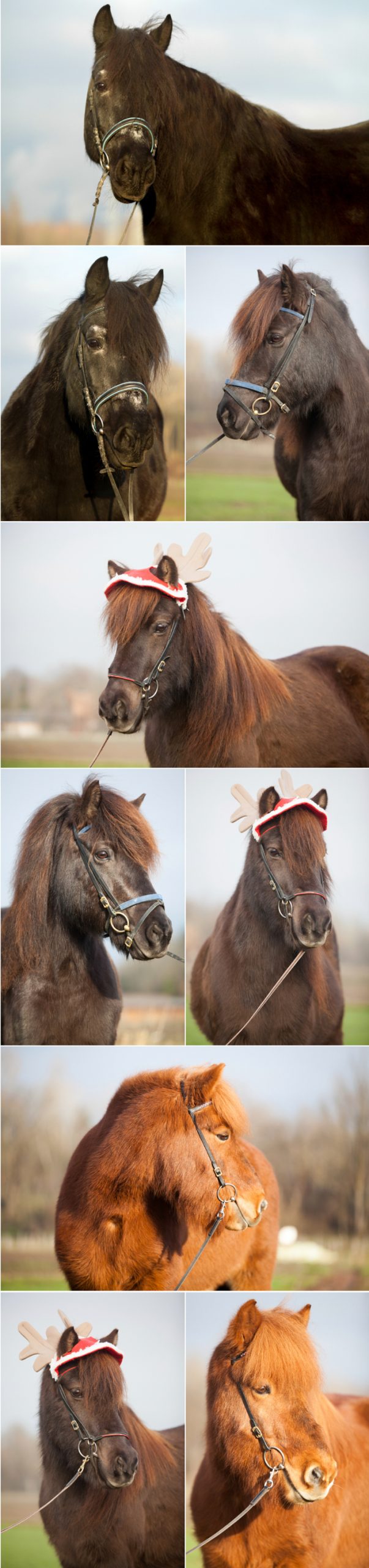 5.07.2- sabine reiter