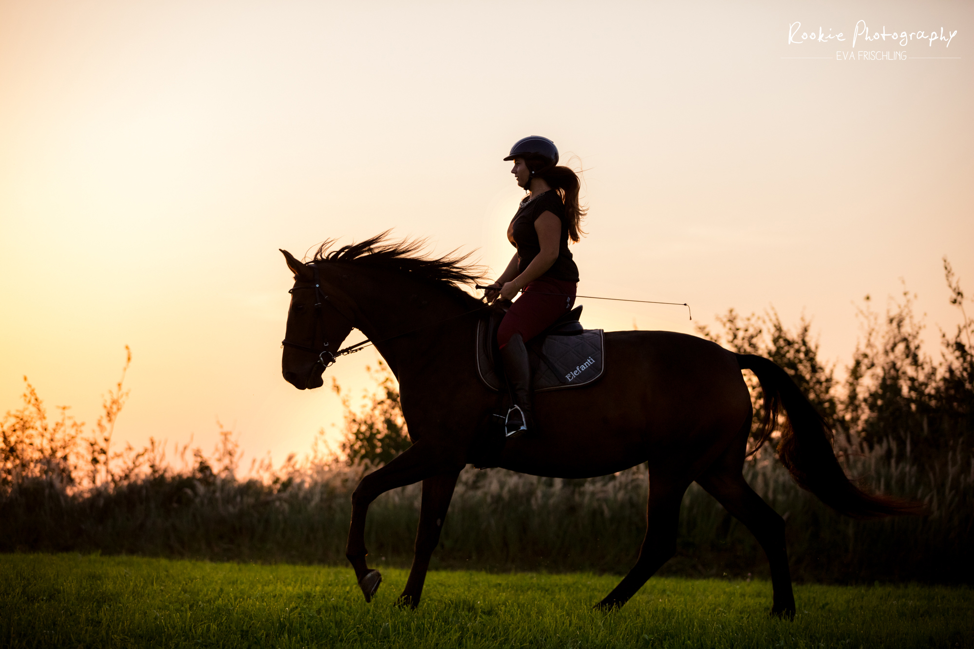 Nicole & Elefanti-15