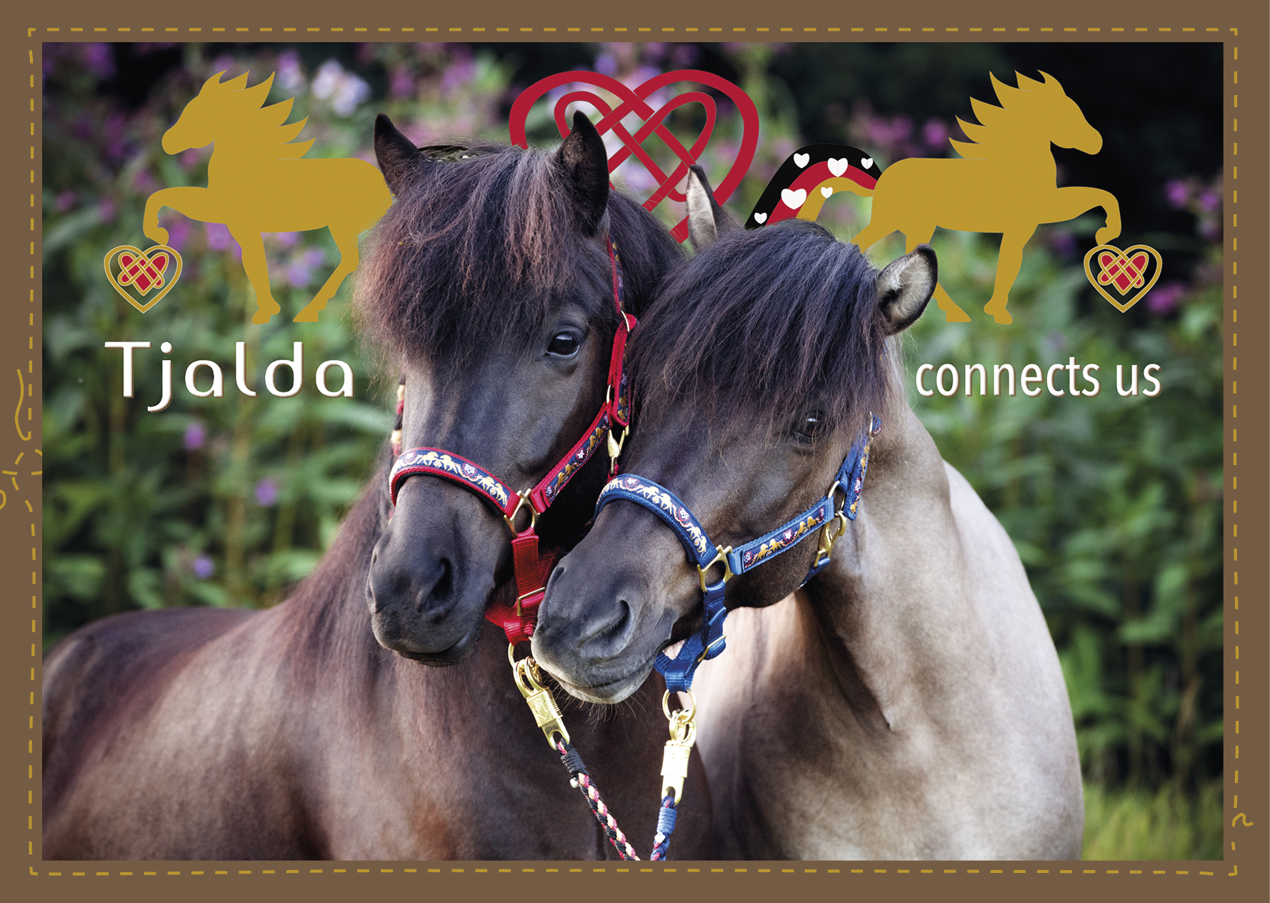 Tjalda-Flyer_2017_Vorderseite