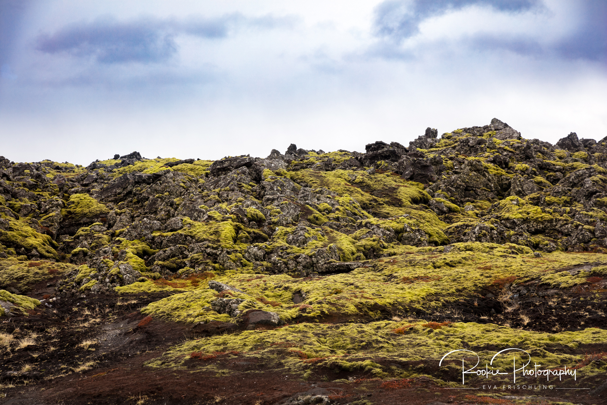Reykjanes-28