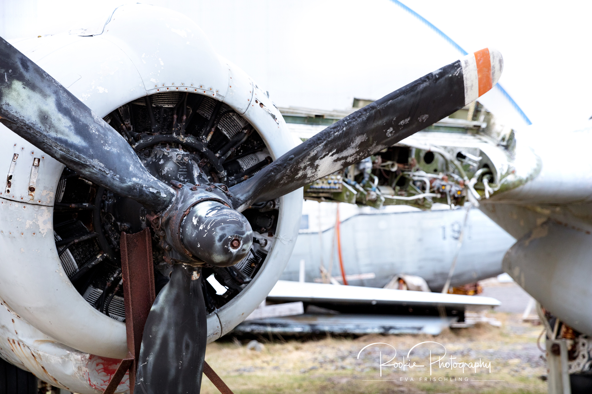 südliche_Westfjorde-32