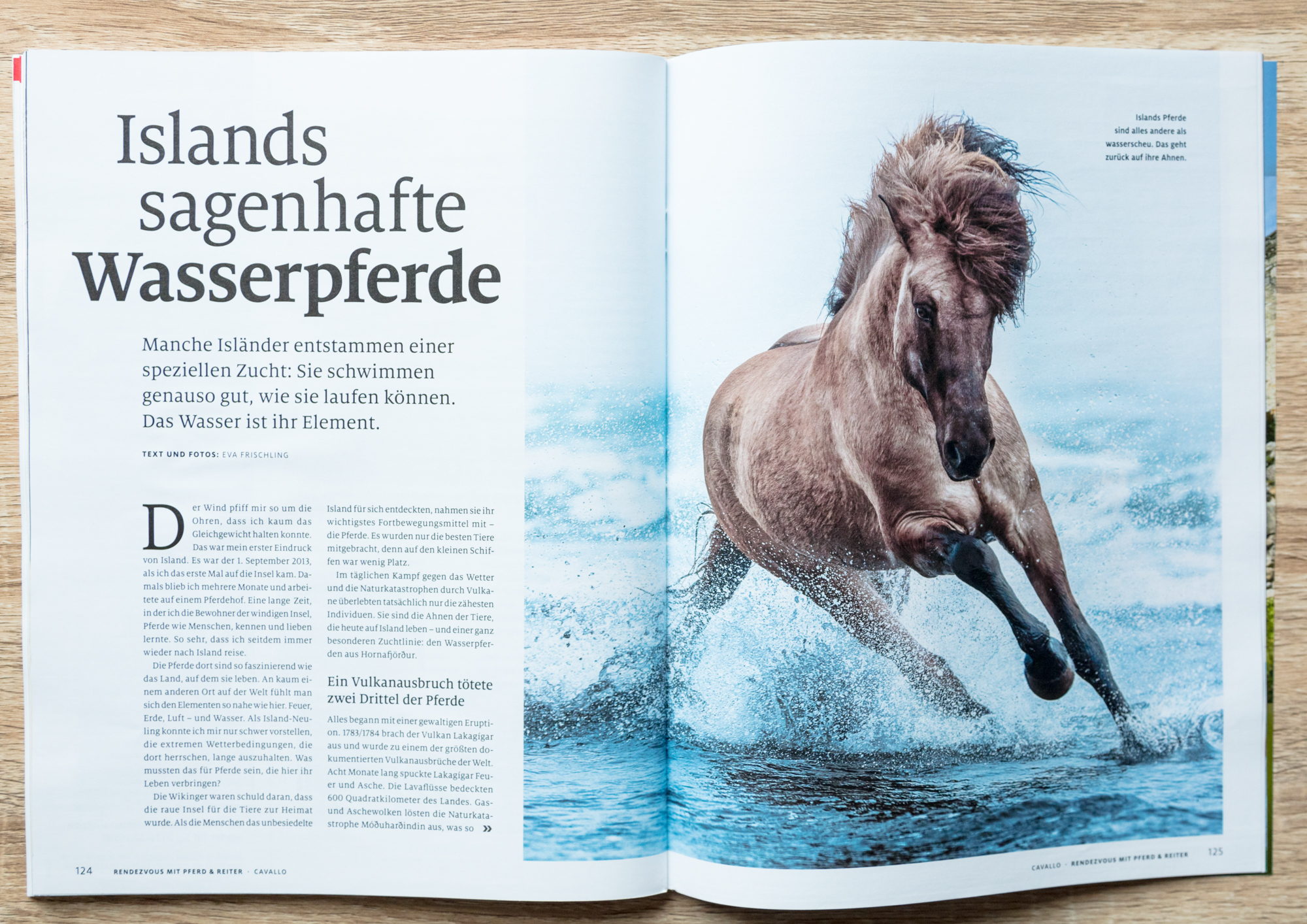 Cavallo-4