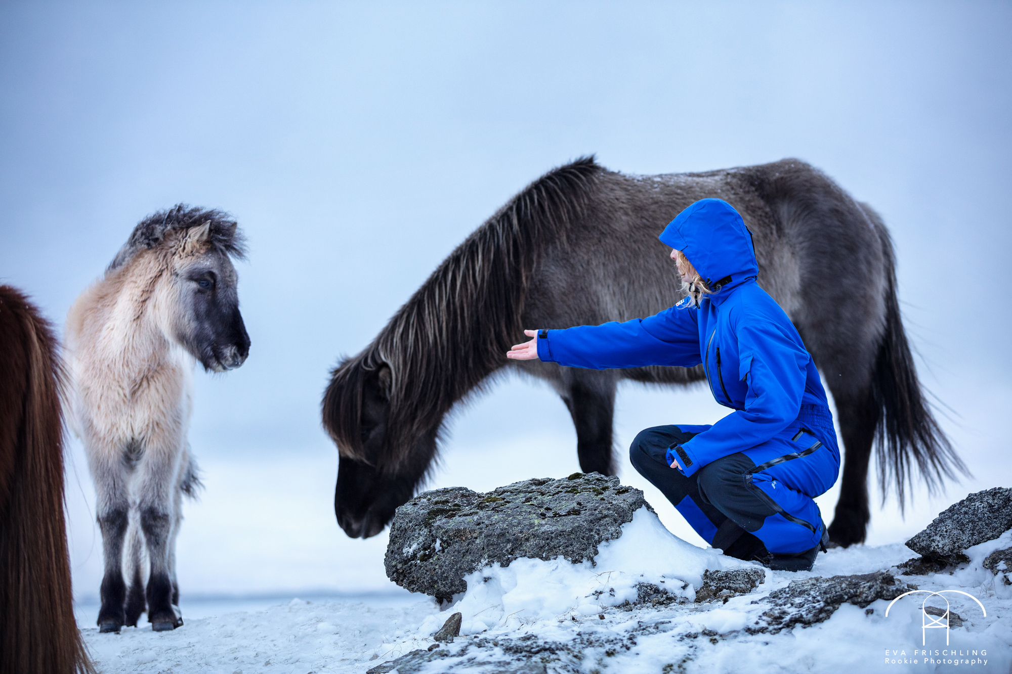 05 Birgit für HGG-7