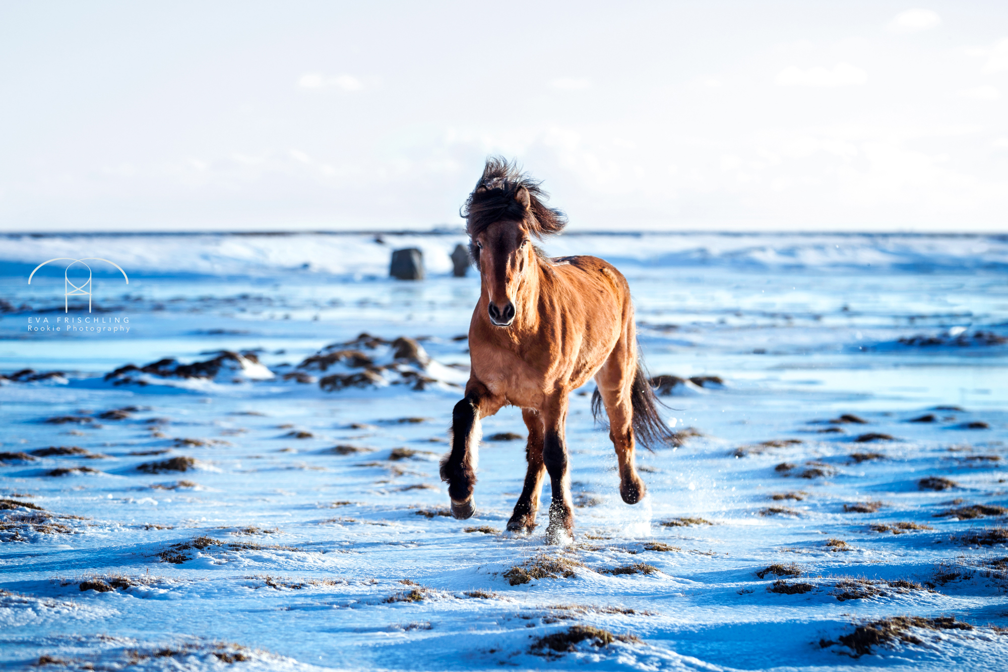 07 Ögri frá Horni-3