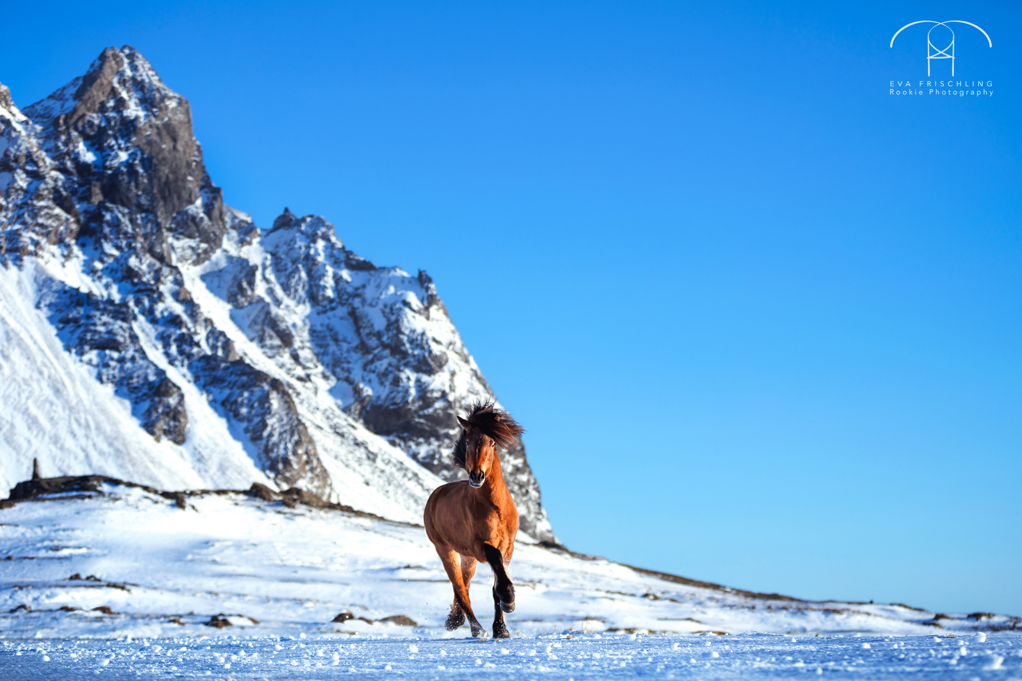 07 Ögri frá Horni-4