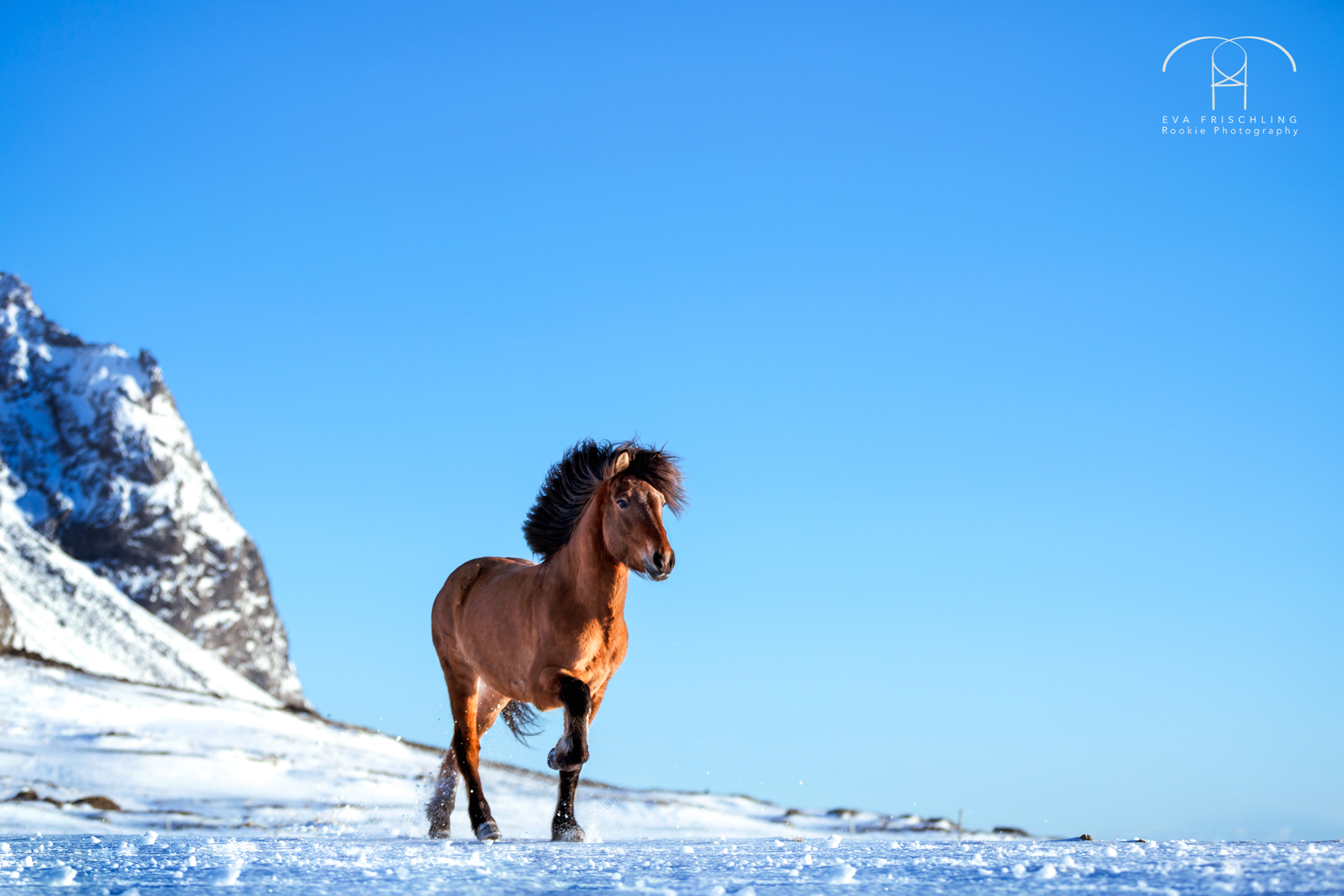 07 Ögri frá Horni-5