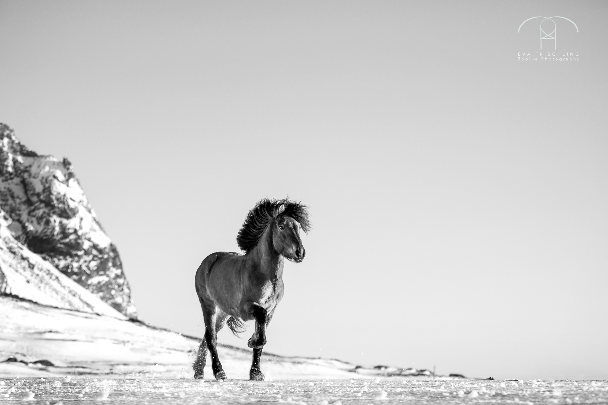 07 Ögri frá Horni-6