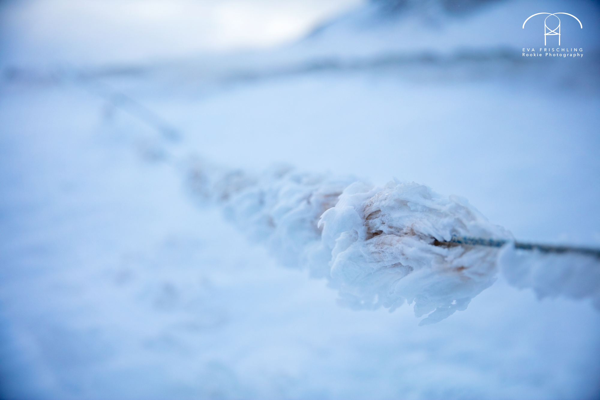 13 Egilsstadir - Husavik-3