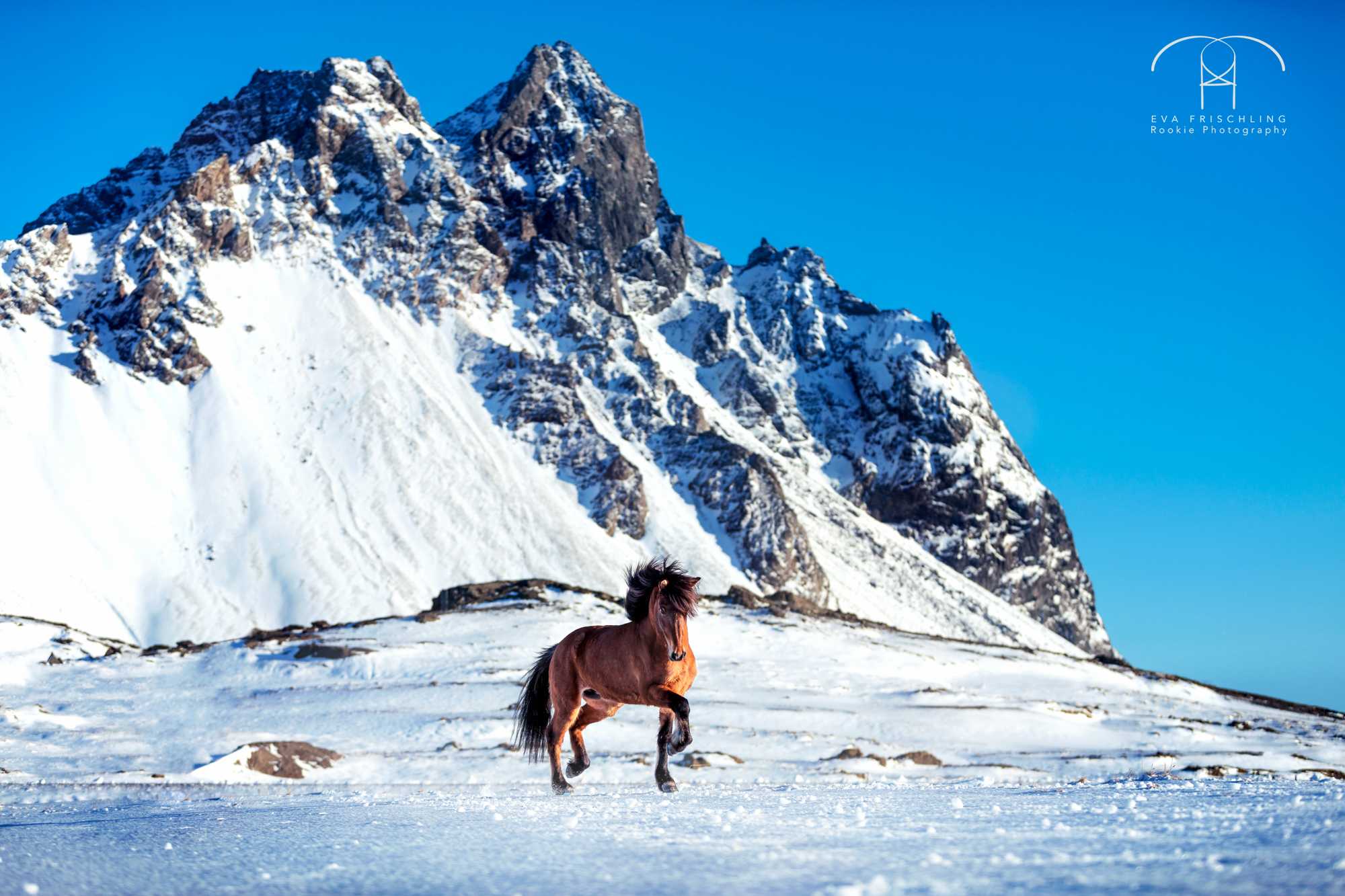 07 Ögri frá Horni-8