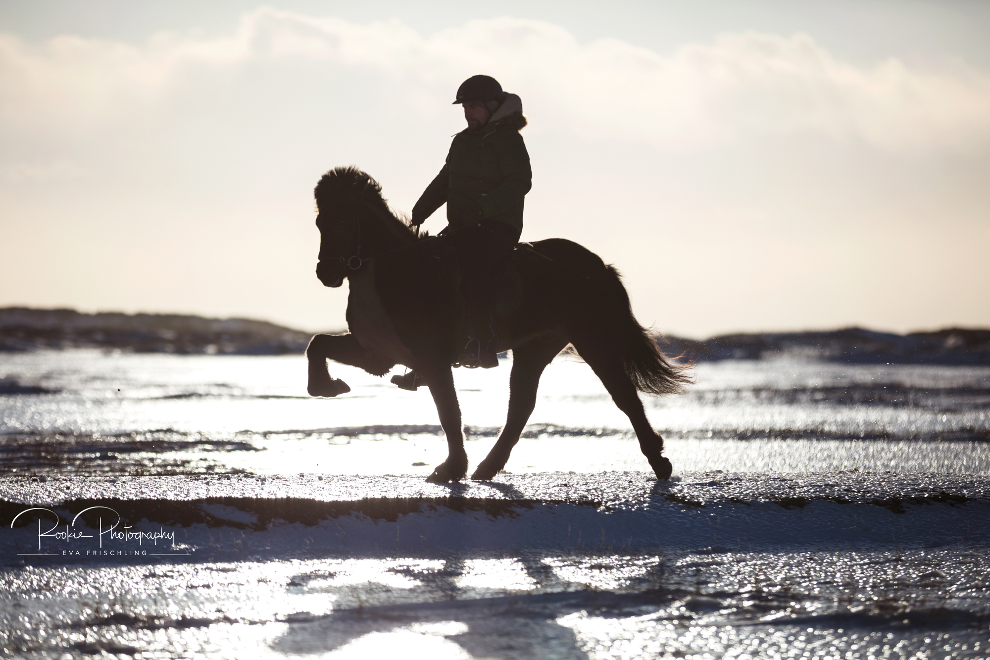 08 Horn Reitpferde Steinunn-1