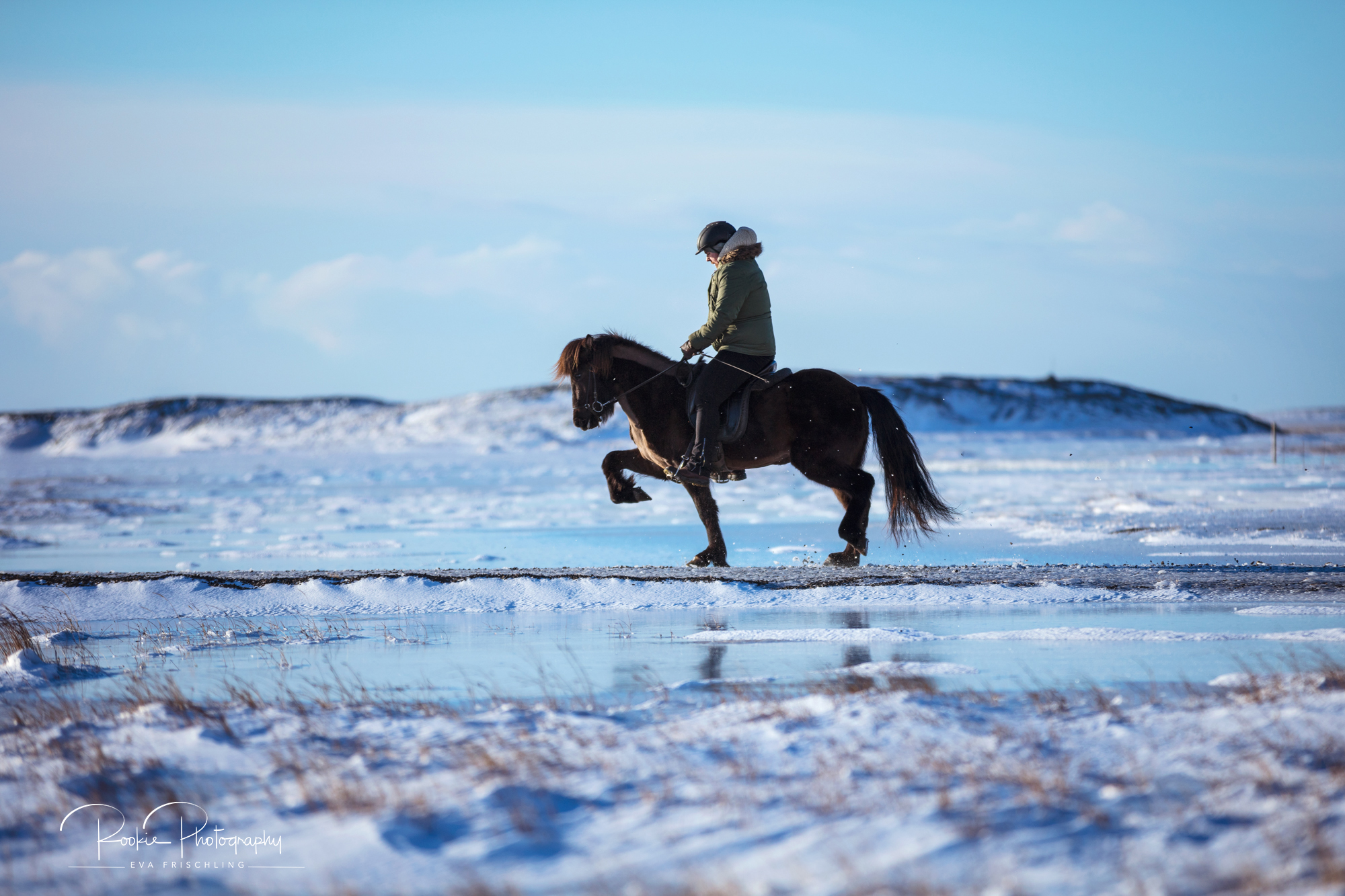 08 Horn Reitpferde Steinunn-2