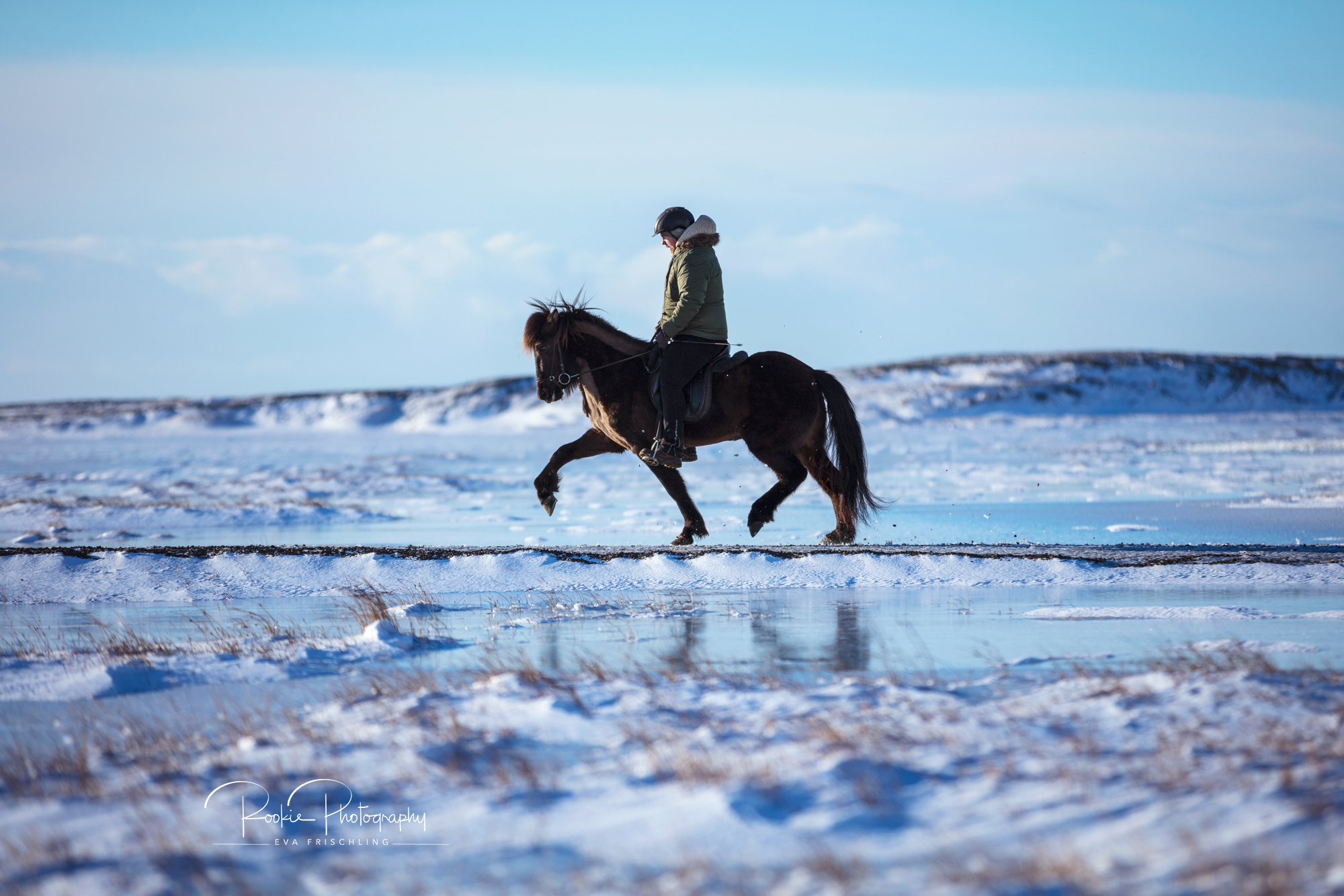 08 Horn Reitpferde Steinunn-3