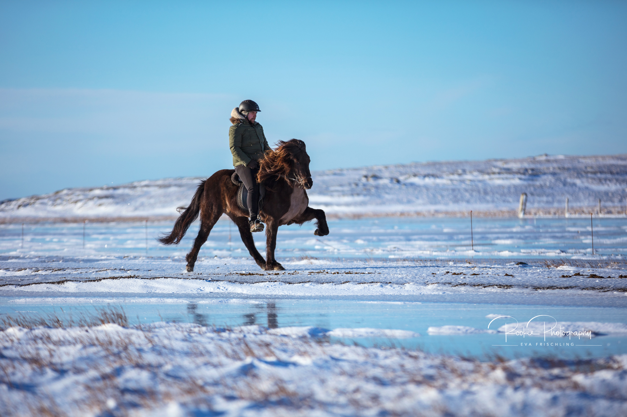 08 Horn Reitpferde Steinunn-4