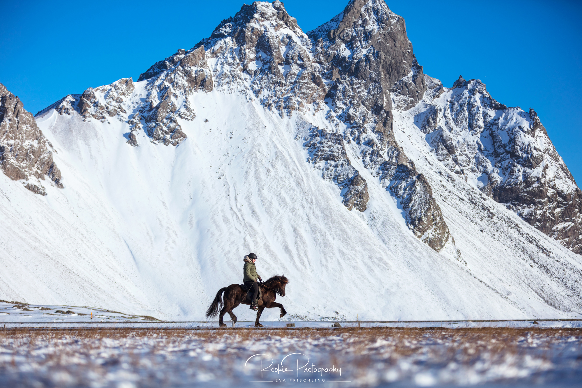 08 Horn Reitpferde Steinunn-6