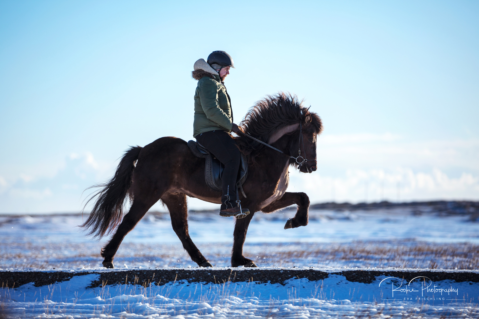 08 Horn Reitpferde Steinunn-7