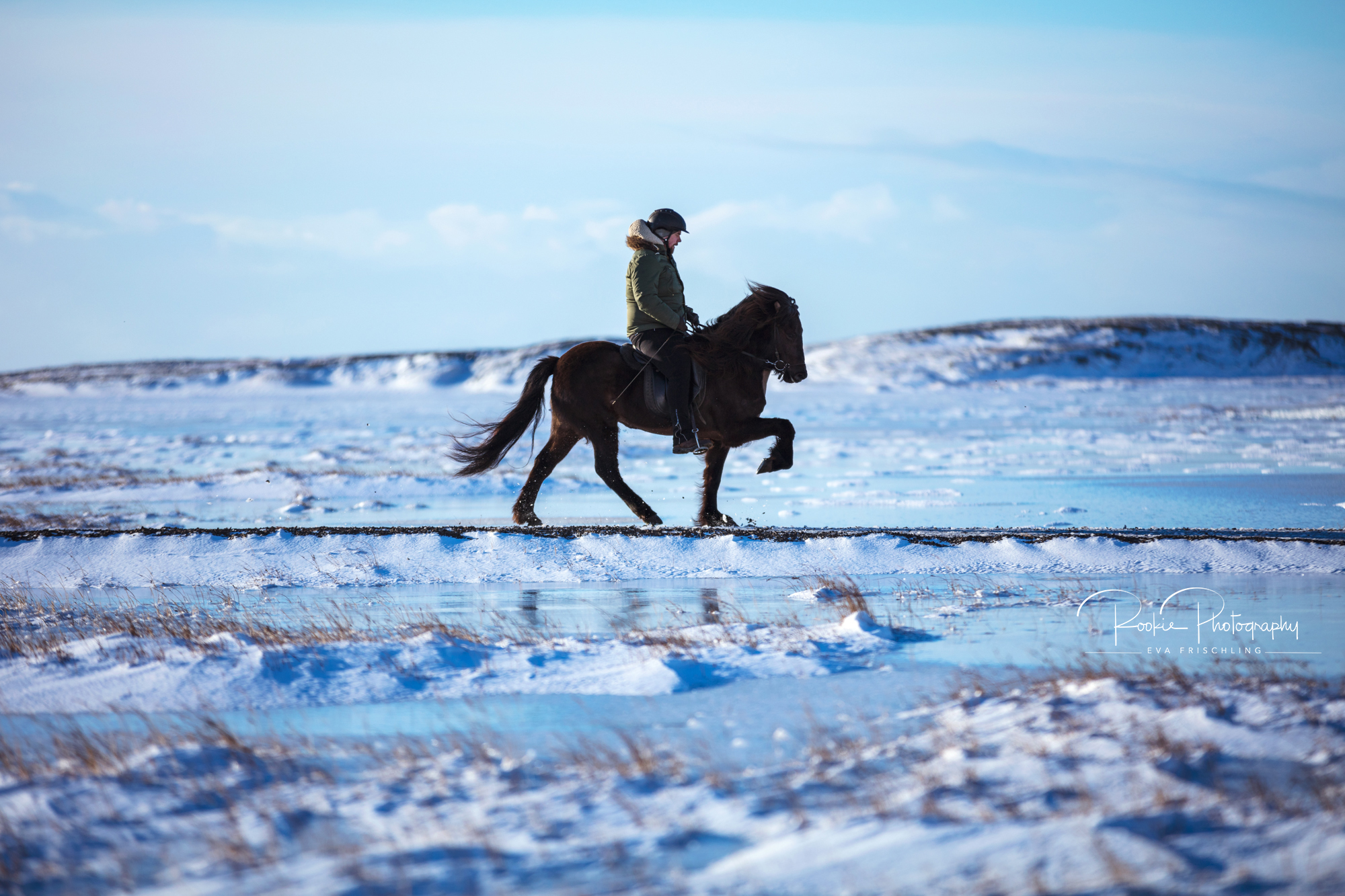 08 Horn Reitpferde Steinunn-8