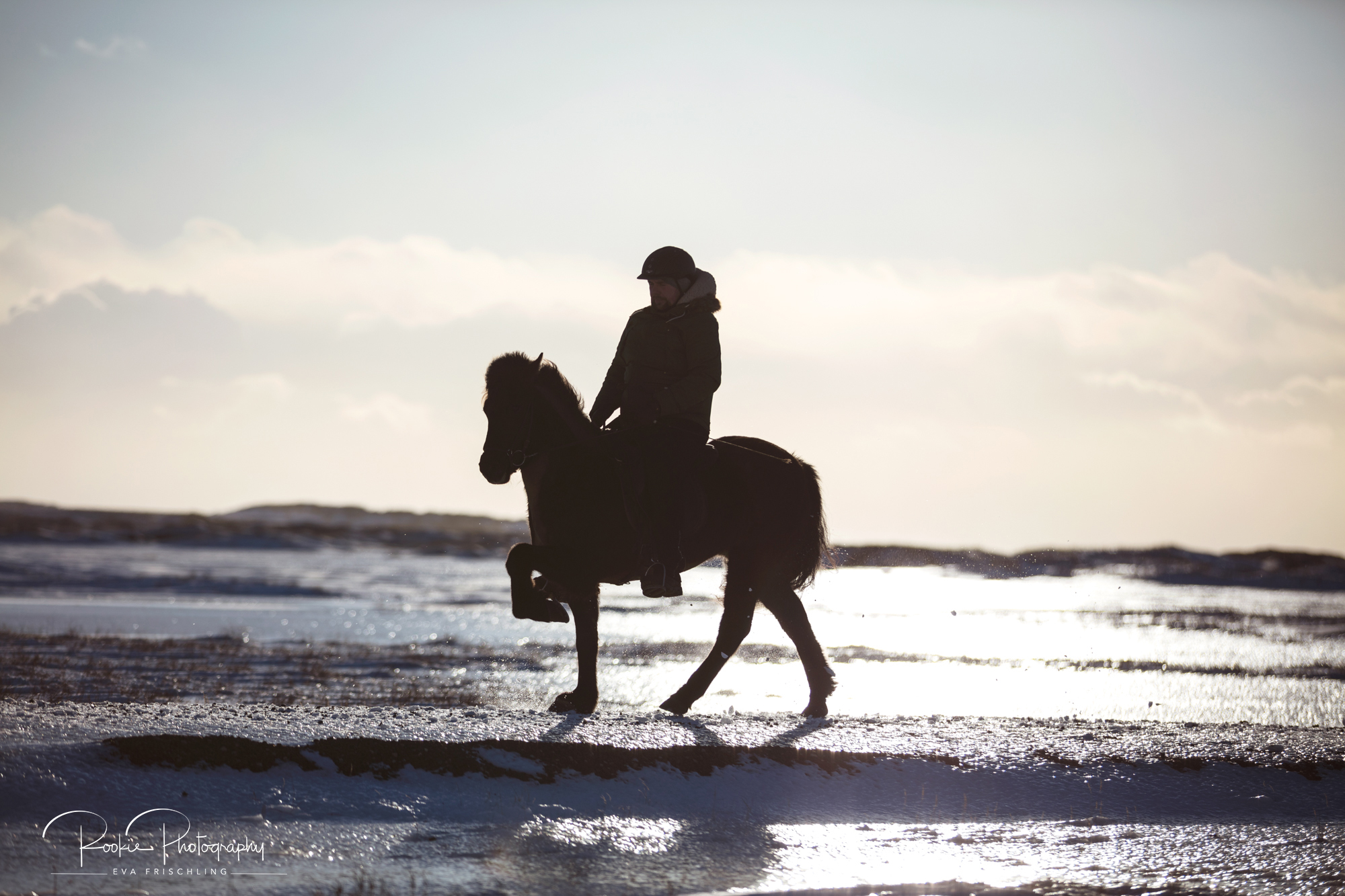 08 Horn Reitpferde Steinunn-9