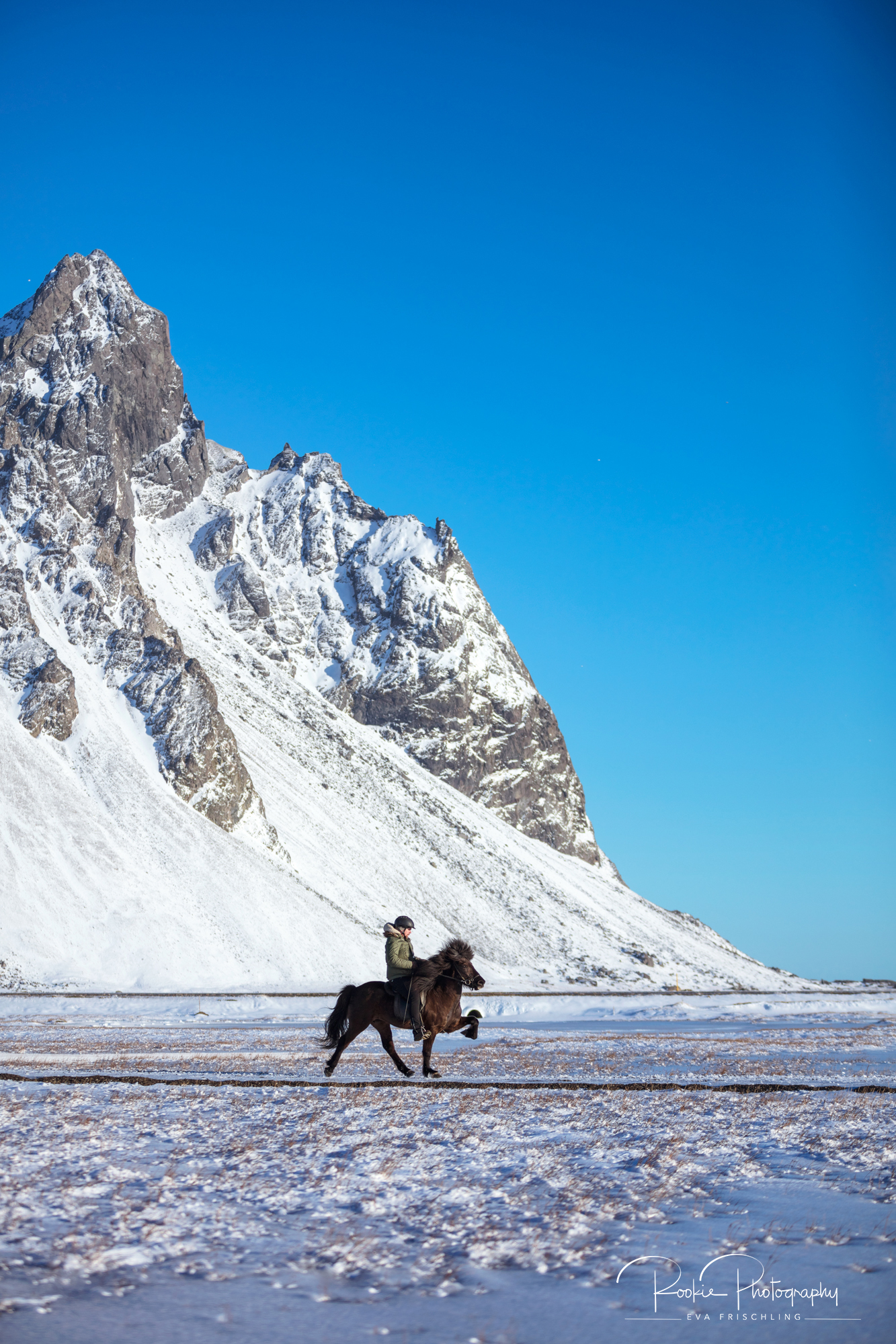 08 Horn Reitpferde Steinálfur-5