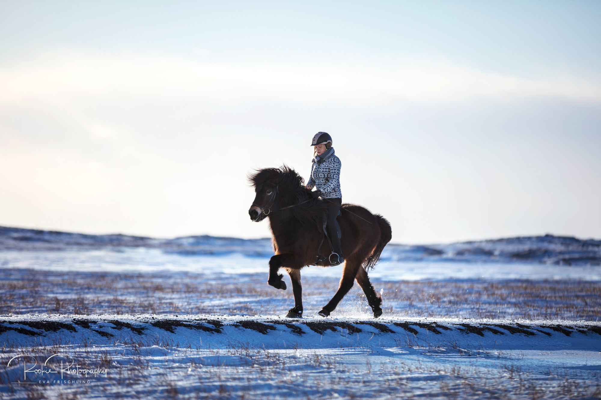 08 Horn Reitpferde Strönd-1