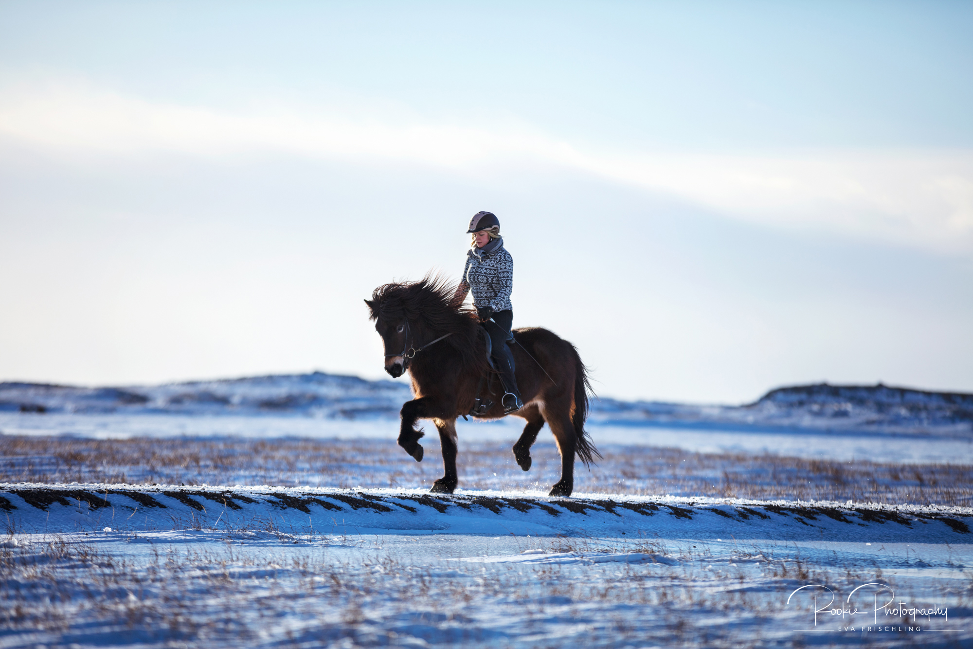 08 Horn Reitpferde Strönd-2