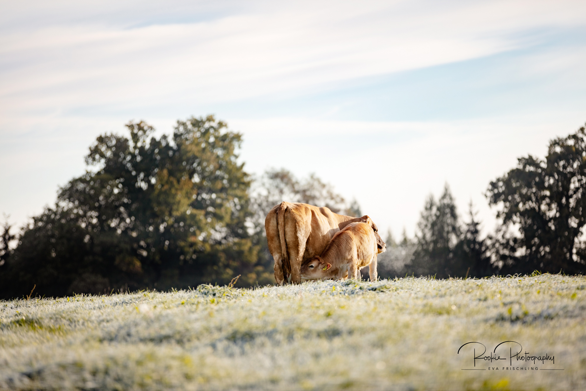 Biohof-Gebetsberger-5