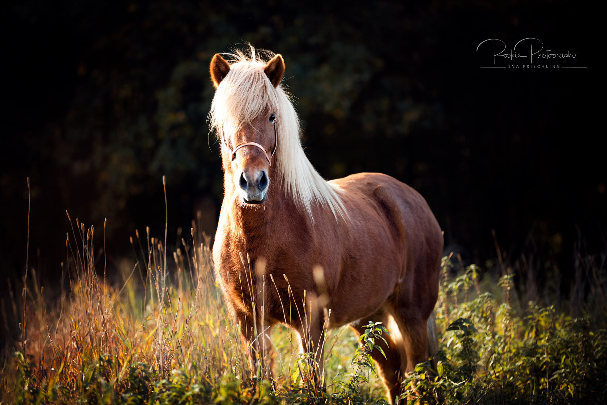 Claudia mit Ofeigur & Fanta-1
