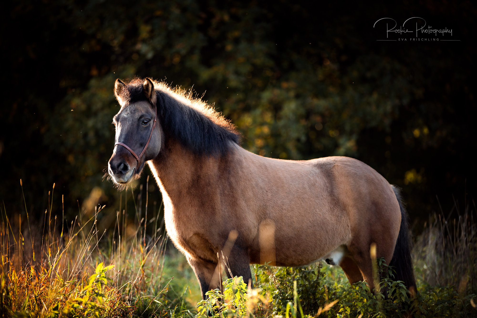 Claudia mit Ofeigur & Fanta-2