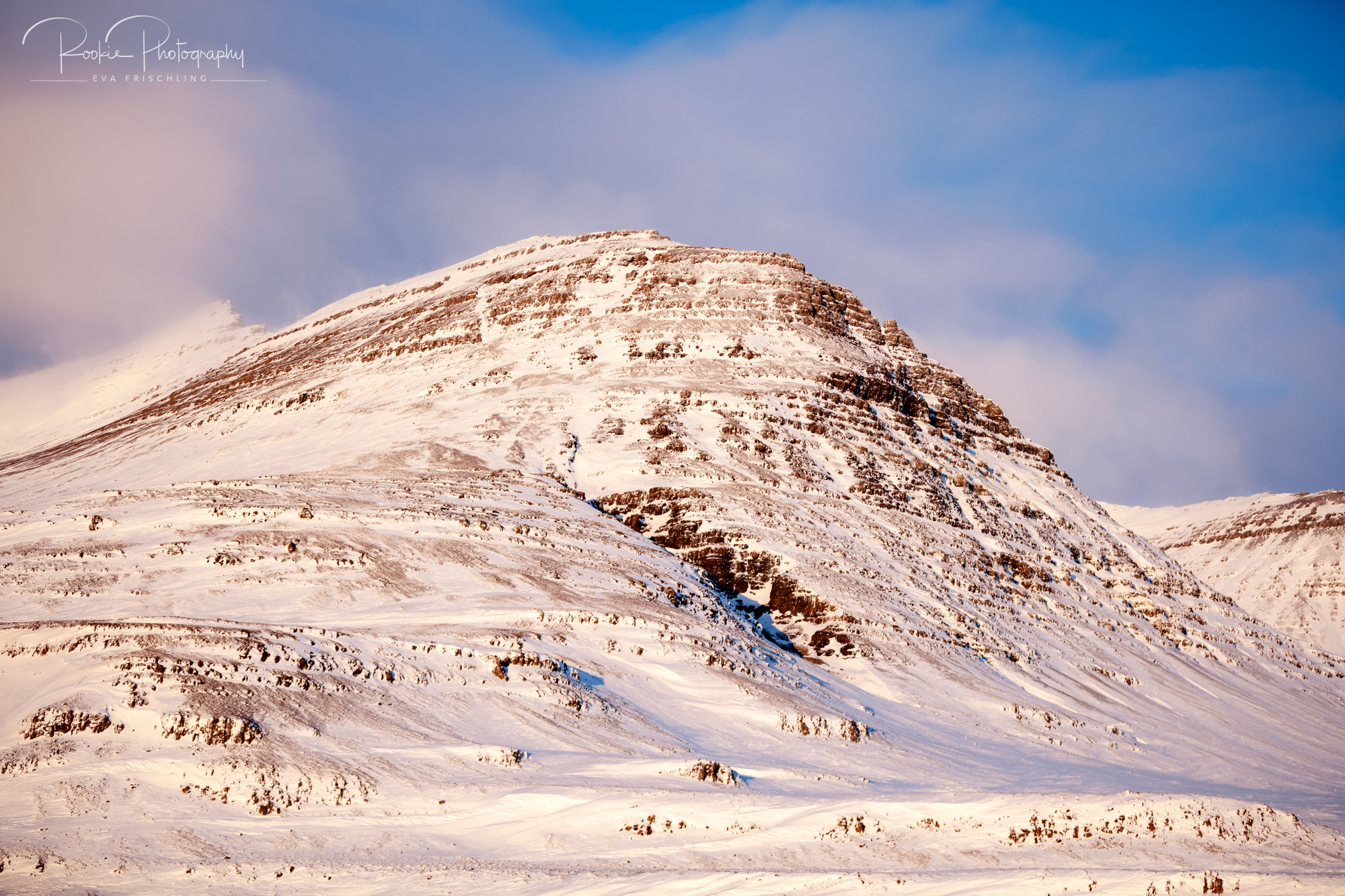 07 Hengstherde Sonnenschein-1