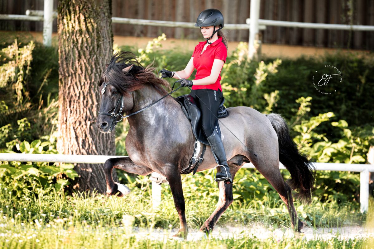 Elisa mit Breki & Heppa-1