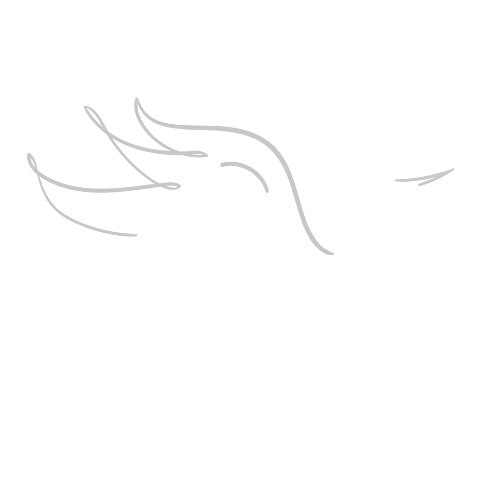 Taktur_magic Pferd negativ