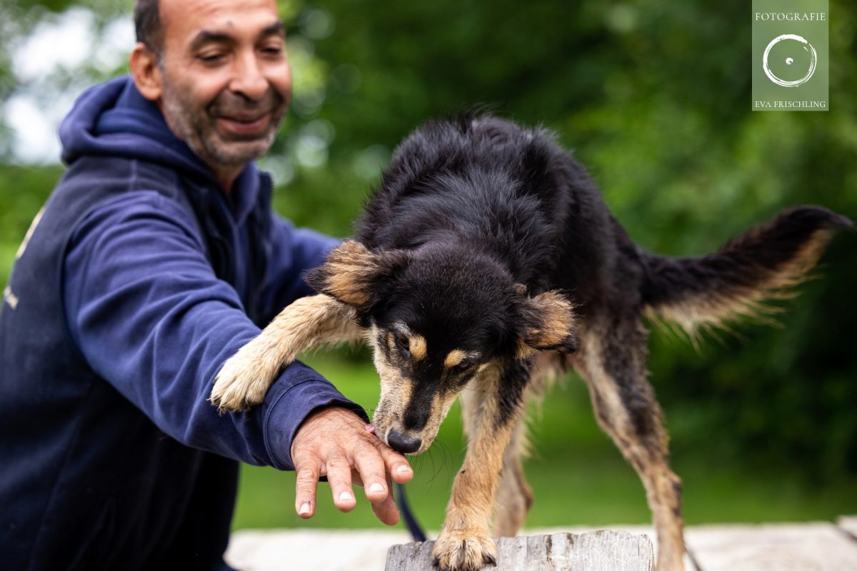 Pfotenhilfe Hunde 2021-16