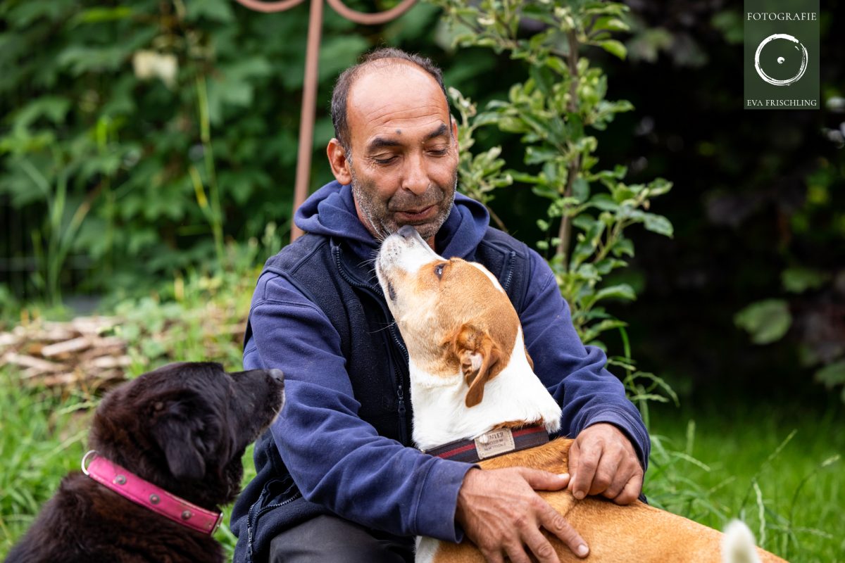 Pfotenhilfe Hunde 2021-50