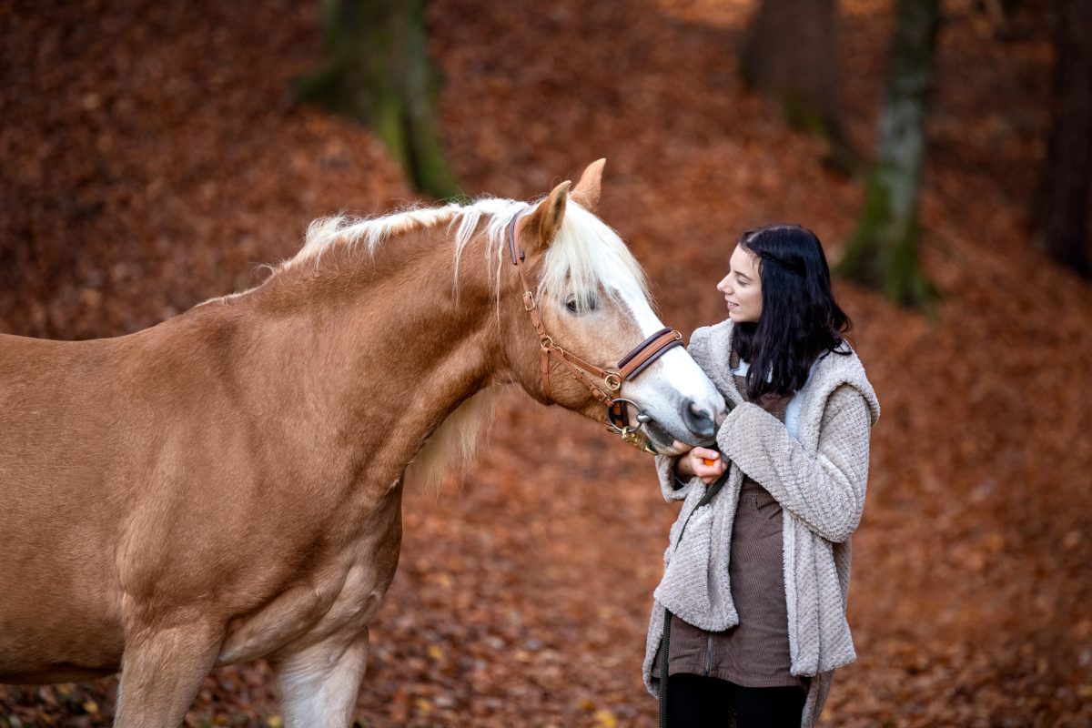 Silberstreifenhof 2021-3